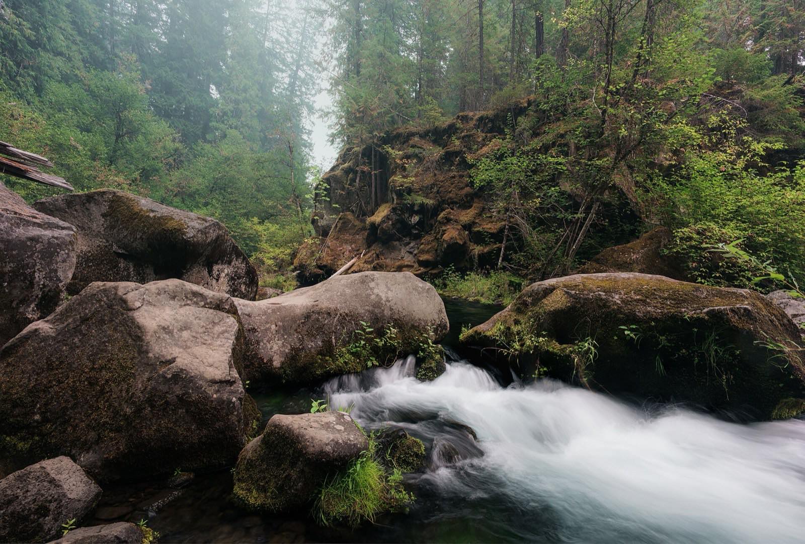 A moss-covered boulder cascade on the North Umpqua River near Toketee Falls in the Umpqua National Forest, Douglas County, Oregon.