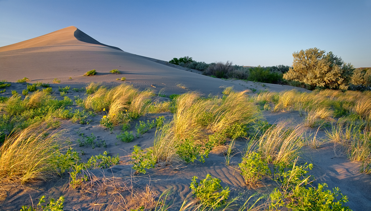 Sand dunes at sunset in Bruneau Dunes State Park, Owyhee County, Idaho.
