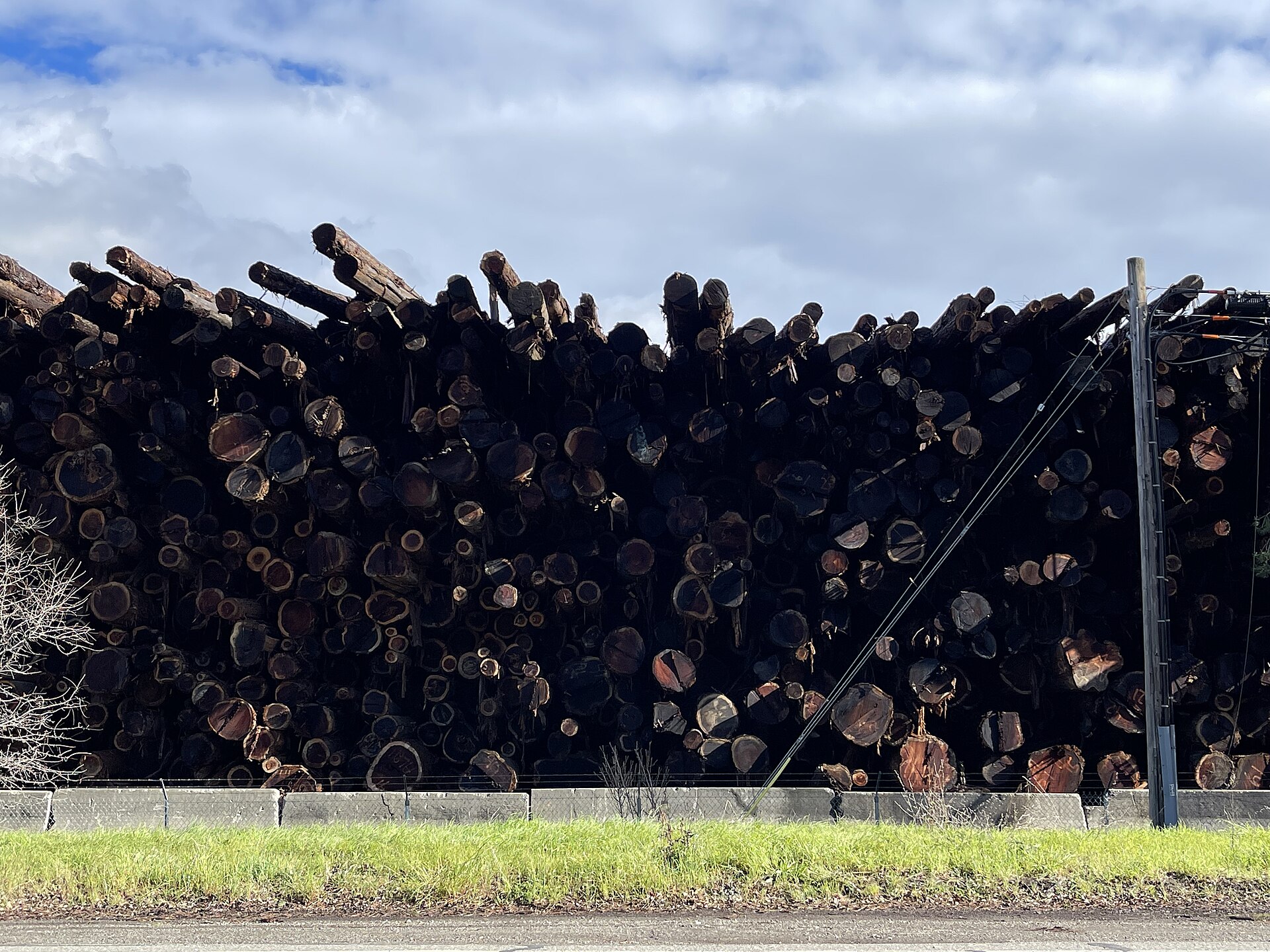 A tall deck of cut logs awaits processing at a sawmill under a partly cloudy sky.